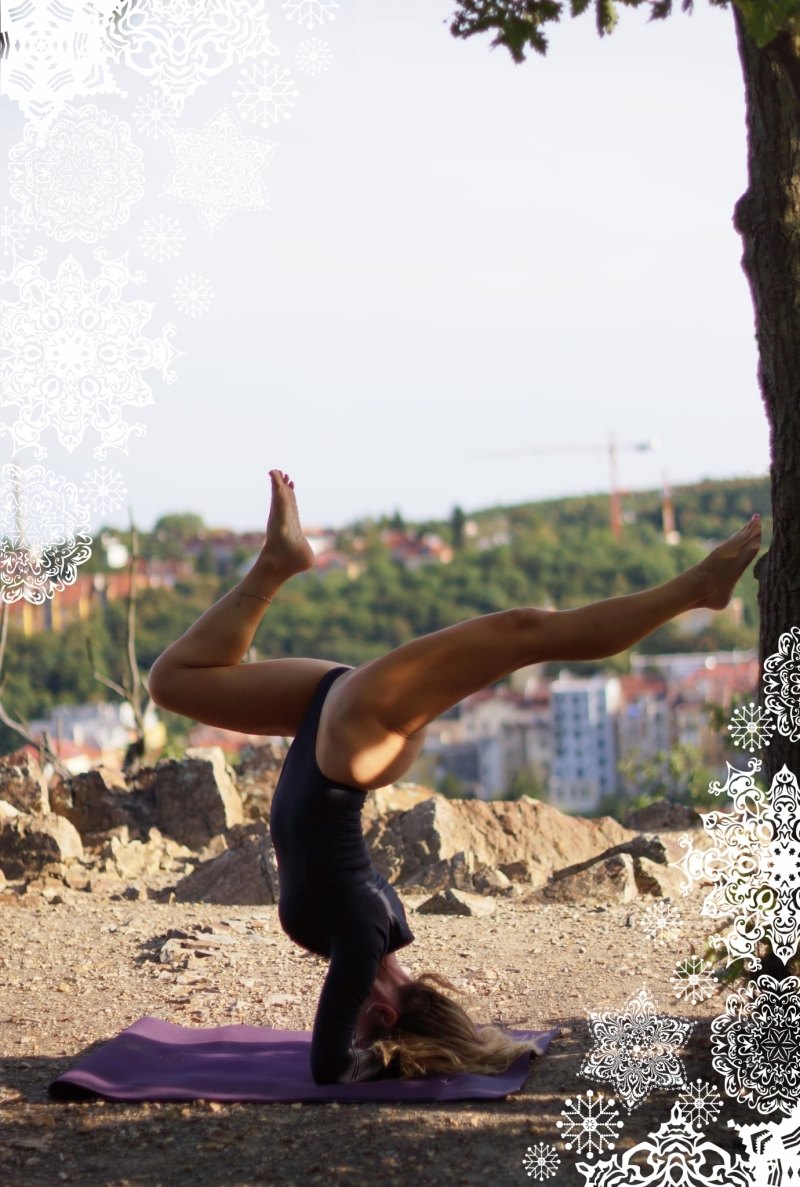 VÁNOČNÍ WORKSHOP !